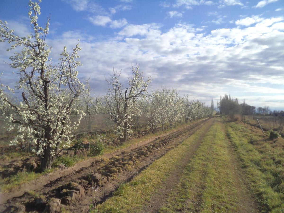 Сasa de vacaciones Racimos - Casa Syrah San Rafael (Mendoza)