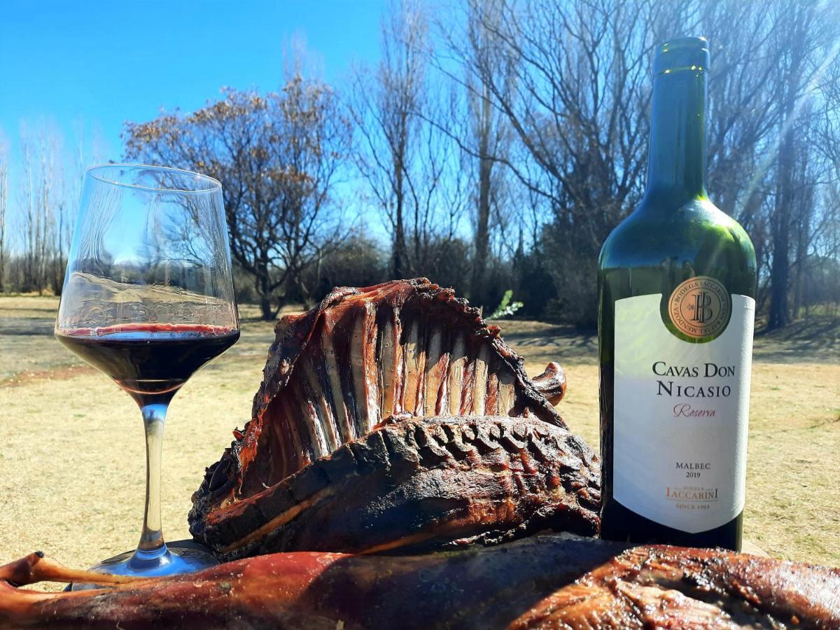 Racimos - Casa Syrah