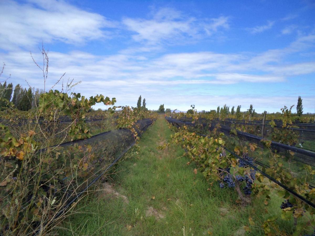 Сasa de vacaciones Racimos - Casa Syrah
